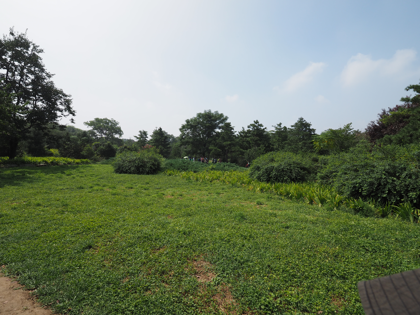 兵馬俑 の体験記と写真:画像12