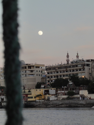 モーベンピック リゾート アスワン (Mövenpick Resort Aswan) の体験記と写真:画像2