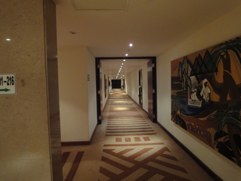 モーベンピック リゾート アスワン (Mövenpick Resort Aswan) の体験記と写真:画像12