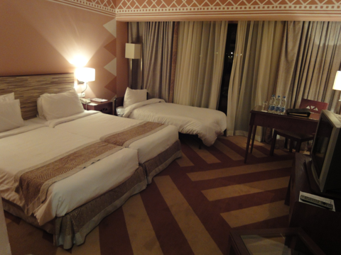 モーベンピック リゾート アスワン (Mövenpick Resort Aswan) の体験記と写真:画像13