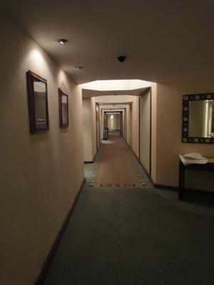ラムセス・ヒルトン・ホテル カイロ(Ramses Hilton Hotel Cairo) の体験記と写真:画像9