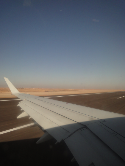 カイロからアスワンへの飛行機便 - エジプト航空 EMBRAER 170:画像16