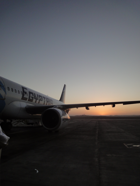 ルクソールからカイロへの飛行機便 - エジプト航空 A321:画像10