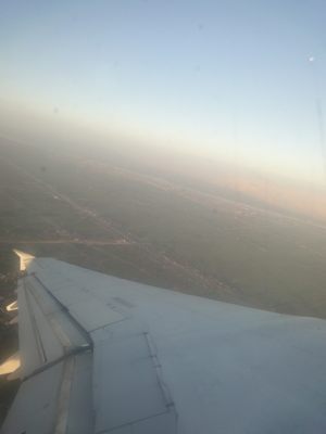 ルクソールからカイロへの飛行機便 - エジプト航空 A321:画像13