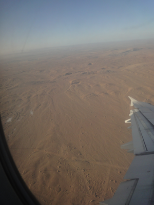 ルクソールからカイロへの飛行機便 - エジプト航空 A321:画像16