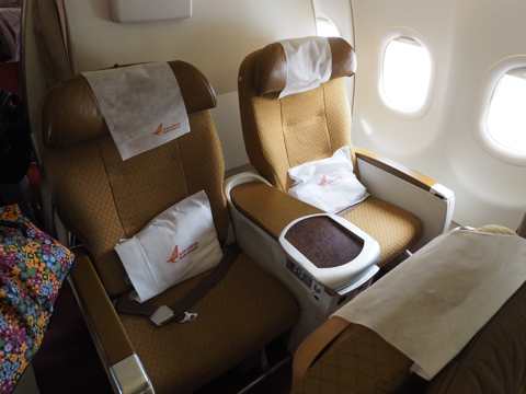 ワーラーナシー (インド)からアグラ (インド)への飛行機便 - エア・インディア A319:画像19