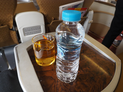 ワーラーナシー (インド)からアグラ (インド)への飛行機便 - エア・インディア A319:画像22