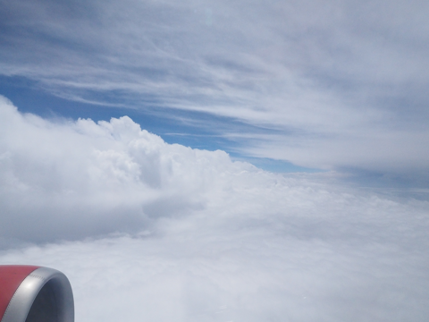 ワーラーナシー (インド)からアグラ (インド)への飛行機便 - エア・インディア A319:画像29