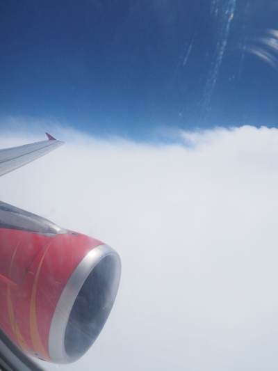 ワーラーナシー (インド)からアグラ (インド)への飛行機便 - エア・インディア A319:画像31