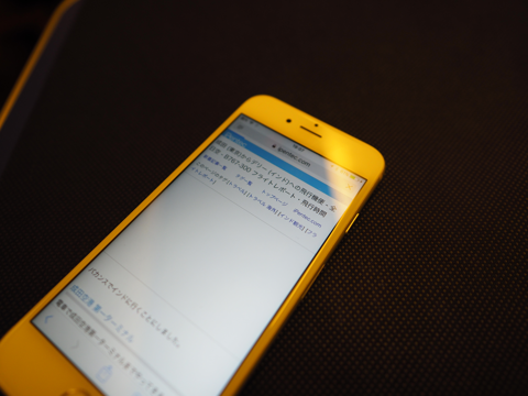 ANA WiFi Service を利用する - ANA Fi-Wi サービスの利用:画像17