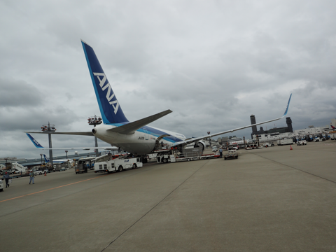 成都 (中国)から成田 (東京)への飛行機便 - 全日空 B767-300:画像105