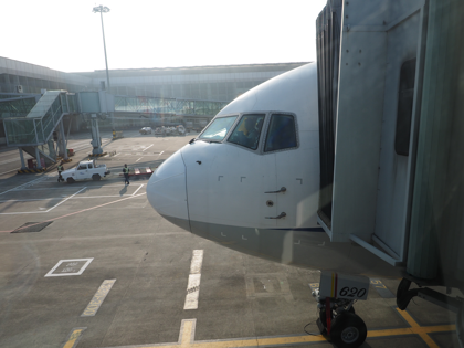 成都 (中国)から成田 (東京)への飛行機便 - 全日空 B767-300:画像46