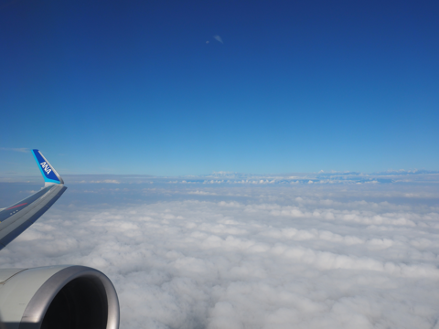 成都 (中国)から成田 (東京)への飛行機便 - 全日空 B767-300:画像60