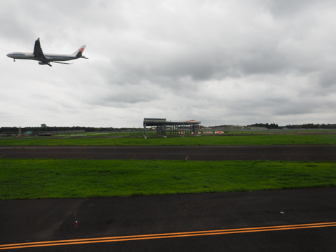 成都 (中国)から成田 (東京)への飛行機便 - 全日空 B767-300:画像96