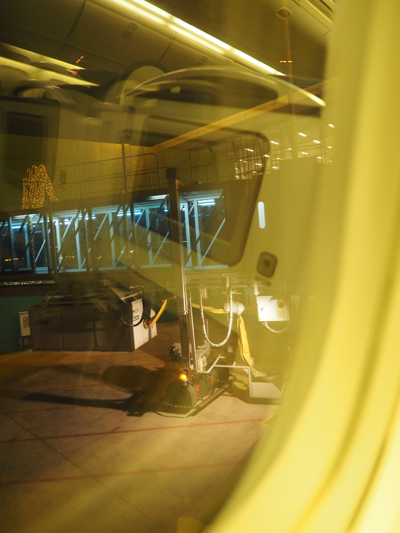 デリー (インド)から成田 (東京)への飛行機便 - 全日空 B767-300:画像50