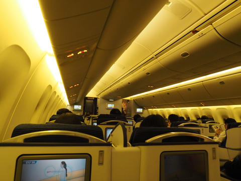 デリー (インド)から成田 (東京)への飛行機便 - 全日空 B767-300:画像51