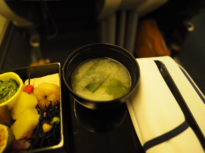 デリー (インド)から成田 (東京)への飛行機便 - 全日空 B767-300:画像70