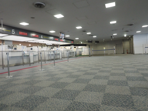 デリー (インド)から成田 (東京)への飛行機便 - 全日空 B767-300:画像83