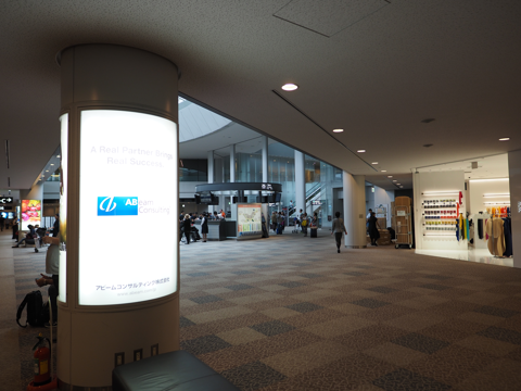 成田 (東京)から成都 (中国)への飛行機便 - 全日空 B767-300:画像12