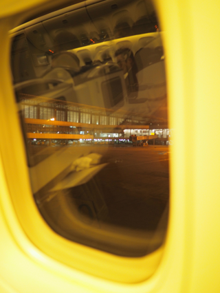 成田 (東京)から成都 (中国)への飛行機便 - 全日空 B767-300:画像65