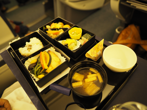 成田 (東京)から成都 (中国)への飛行機便 - 全日空 B767-300:画像56
