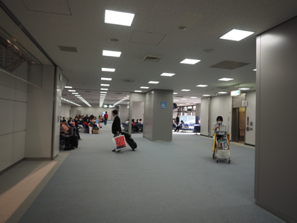 成田 (東京)からデリー (インド)への飛行機便 - 全日空 B767-300:画像22