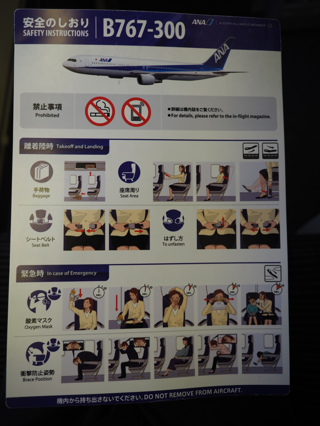 成田 (東京)からデリー (インド)への飛行機便 - 全日空 B767-300:画像33