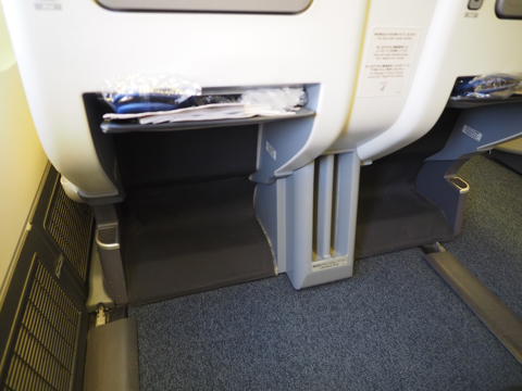 成田 (東京)からデリー (インド)への飛行機便 - 全日空 B767-300:画像35