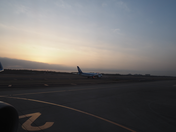 成田 (東京)からデリー (インド)への飛行機便 - 全日空 B767-300:画像40