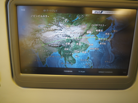 成田 (東京)からデリー (インド)への飛行機便 - 全日空 B767-300:画像48