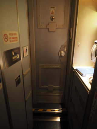 成田 (東京)からデリー (インド)への飛行機便 - 全日空 B767-300:画像64