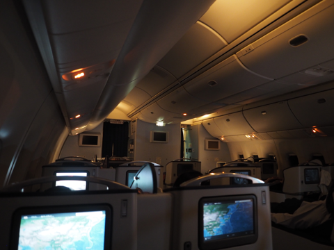 成田 (東京)からデリー (インド)への飛行機便 - 全日空 B767-300:画像68