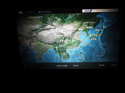 成田 (東京)からデリー (インド)への飛行機便 - 全日空 B767-300:画像75