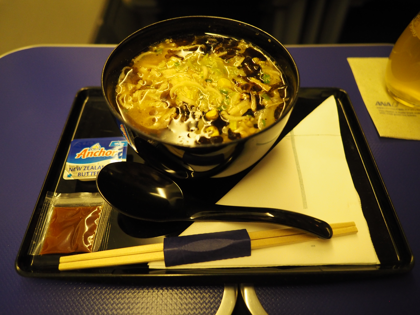 成田 (東京)からデリー (インド)への飛行機便 - 全日空 B767-300:画像74