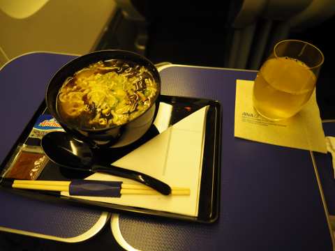 成田 (東京)からデリー (インド)への飛行機便 - 全日空 B767-300:画像72