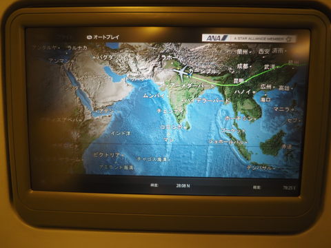 成田 (東京)からデリー (インド)への飛行機便 - 全日空 B767-300:画像79
