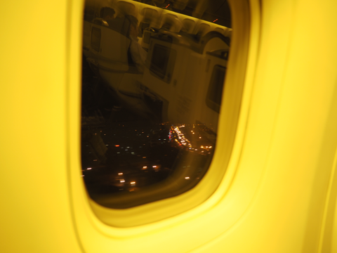 成田 (東京)からデリー (インド)への飛行機便 - 全日空 B767-300:画像80