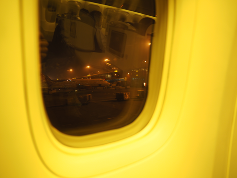 成田 (東京)からデリー (インド)への飛行機便 - 全日空 B767-300:画像81