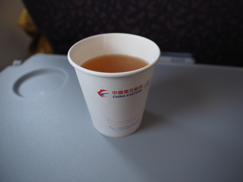 敦煌 (中国)から西安 (中国)への飛行機便 - 中国東方航空 A320:画像41