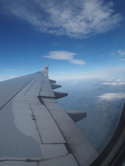 西安 (中国)から成田 (東京)への飛行機便 - 中国東方航空 A330:画像22