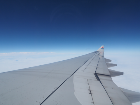 西安 (中国)から成田 (東京)への飛行機便 - 中国東方航空 A330:画像26