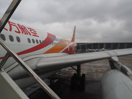西安 (中国)から成田 (東京)への飛行機便 - 中国東方航空 A330:画像47