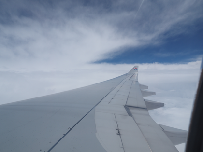 西安 (中国)から成田 (東京)への飛行機便 - 中国東方航空 A330:画像53