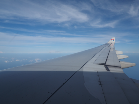 西安 (中国)から成田 (東京)への飛行機便 - 中国東方航空 A330:画像58