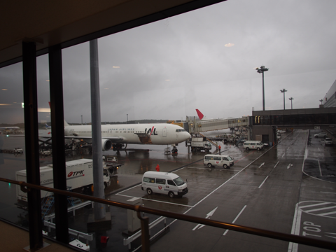 ロサンゼルス(アメリカ) から 成田(東京) への飛行機便 - JAL 日本航空 B777-300:画像42