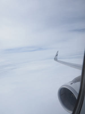 ベルゲン (ノルウェー)から ストックホルム (スウェーデン)への飛行機便 - フィンエアー(Finnair) A321:画像43