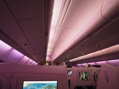 パリ (フランス)から成田 (東京)への飛行機便 - Air France(エールフランス) Airbus A380:画像26