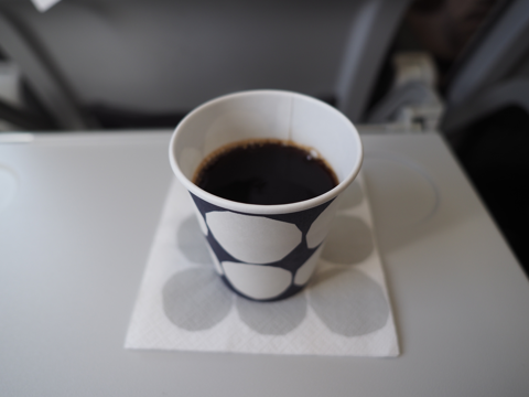 ヘルシンキ (フィンランド)からコペンハーゲン (デンマーク)への飛行機便 - フィンエアー(Finnair) A321:画像22