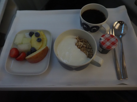 ヘルシンキ (フィンランド)から 成田 (東京)への飛行機便 - フィンエアー(Finnair) A350-900:画像105