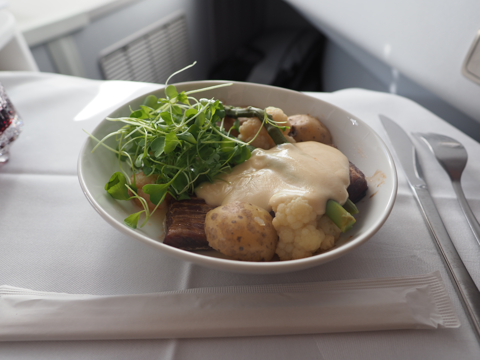 ヘルシンキ (フィンランド)から 成田 (東京)への飛行機便 - フィンエアー(Finnair) A350-900:画像90